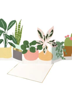 Meri Meri Potted Plant Concertina Card