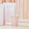 Meri Meri Pink Stripe Paper Straws 2 Meri Meri Pink Stripe Paper Straws