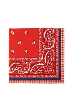 Meri Meri Howdy Cowboy Large Napkins