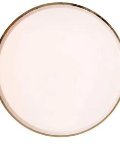 Meri Meri Party Palette Dinner Plates