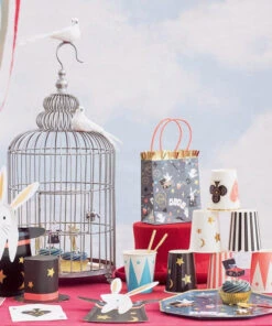 Meri Meri Magic Party Bags