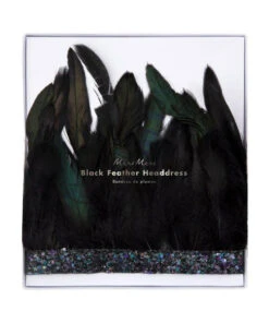 Meri Meri Black Feather Crown