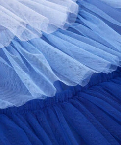 Meri Meri Blue Bird Costume