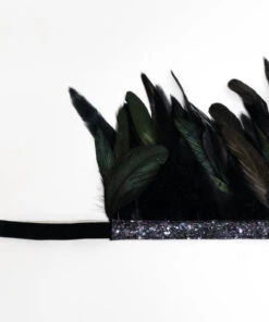 Meri Meri Black Feather Crown