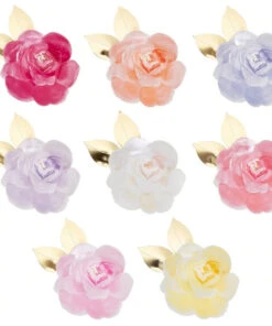 Meri Meri Rose Garden Plates