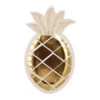 Meri Meri Pineapple Plates